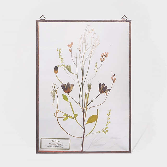 Botanical Frame L14 - Copper