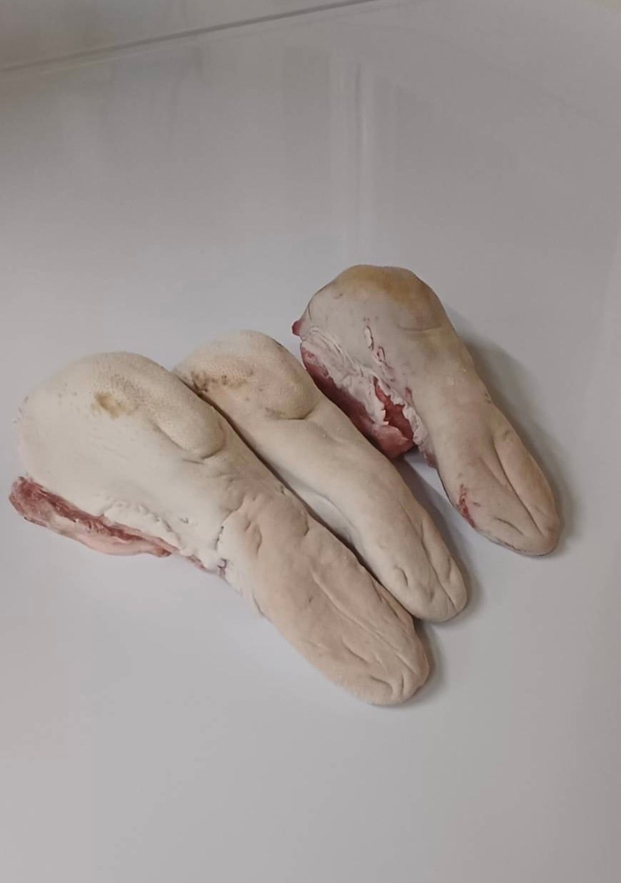 【北海道稚内産】エゾ鹿肉 タンブロック（皮付）500g