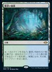 MTG　《霧深い雨林/Misty Rainforest(MH2)》　日本語
