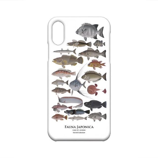 【iPhone XR  魚群・海水魚その１ ホワイト】 スマホケース