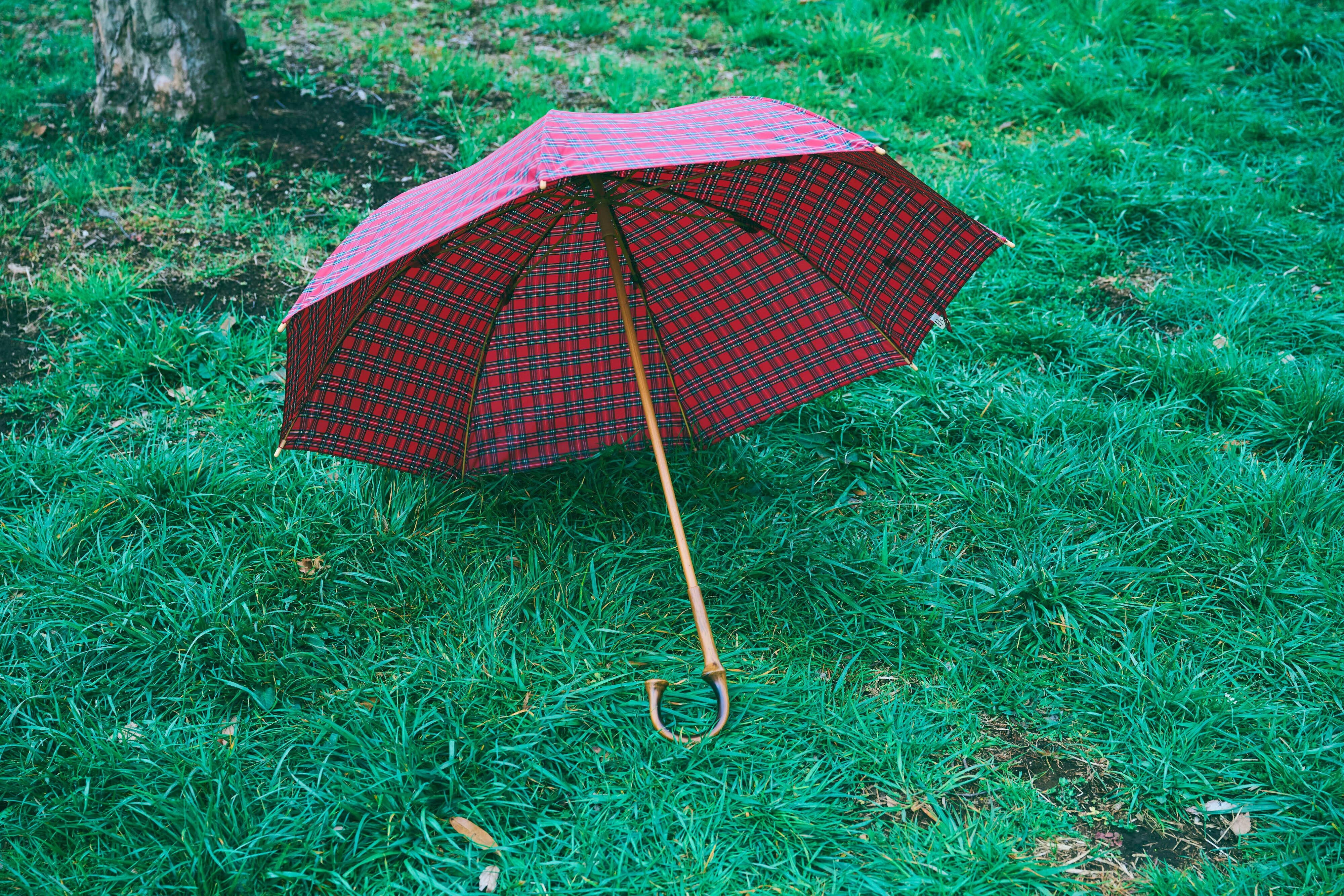 あかざ 格子傘 チェック(赤) 【雨傘】 | muuz