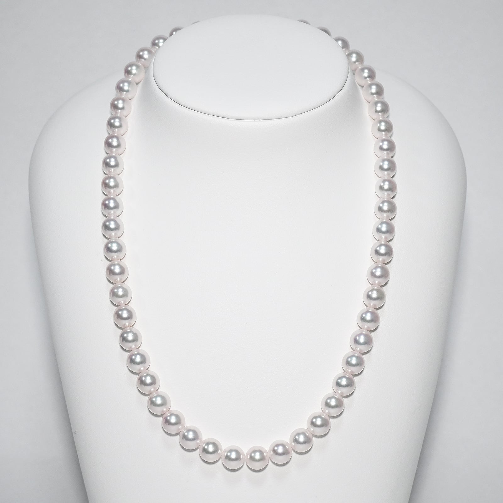 40dce2570f8825f9d5505b9af9259f