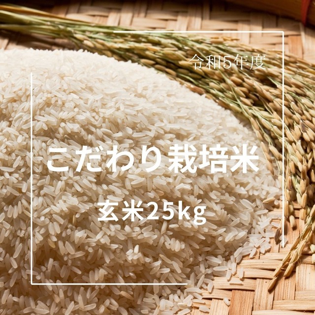 R5年産　冷めても美味しい　こだわり栽培米 玄米 25kg