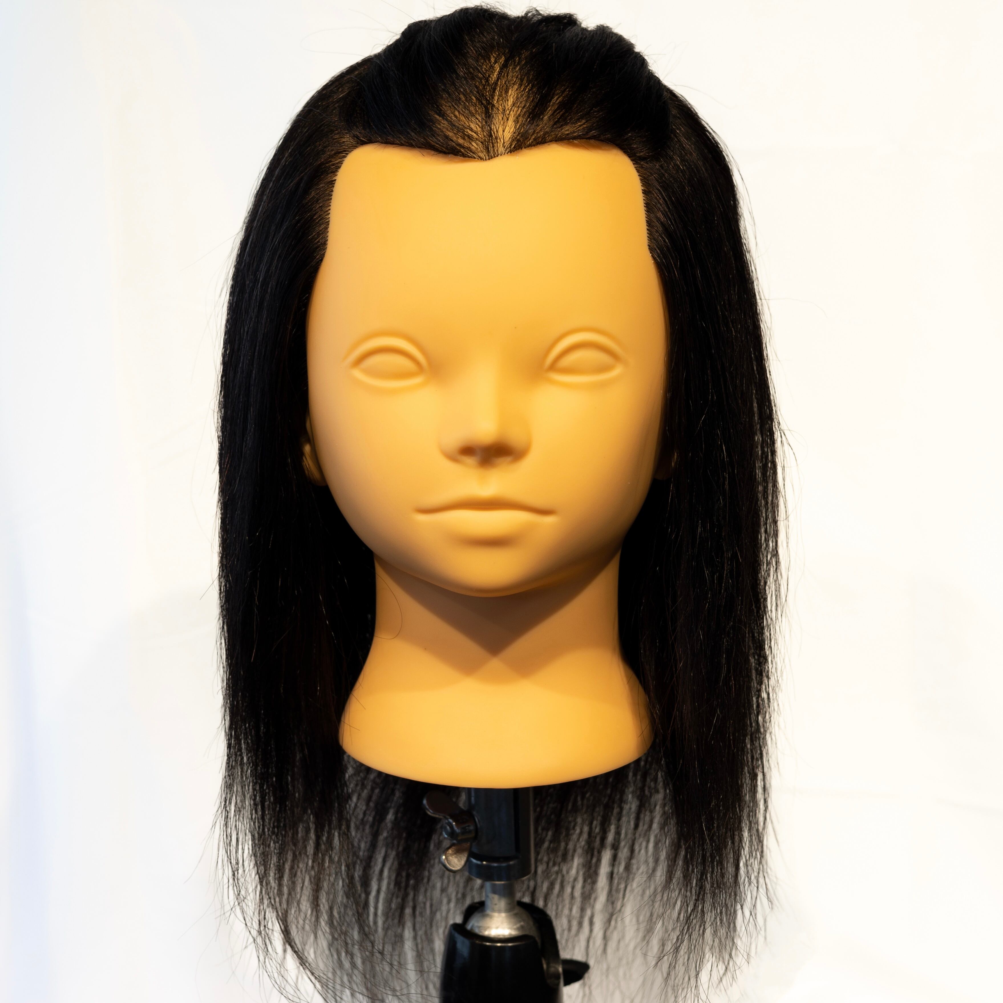 カットウィッグ7体セット長め