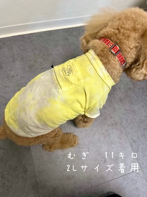 【Sovje oneline】All Japan Madeムラ染めラグランプルオーバー大きいサイズ