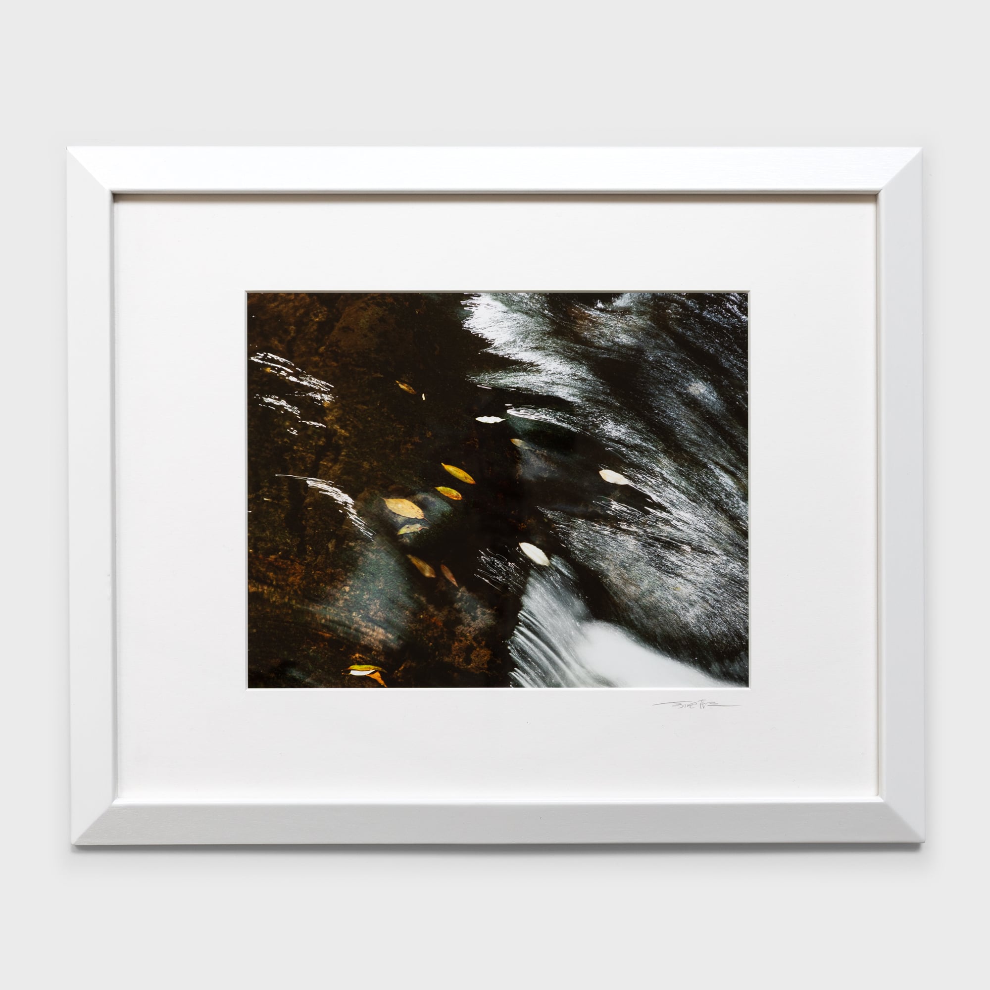 前田真三額装写真「花鳥山水・四季絵模様」白木額〈展示品／直筆サイン