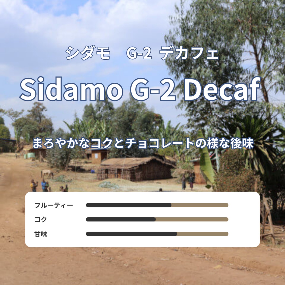 シダモ G-2 Decaf 中煎りユニーク