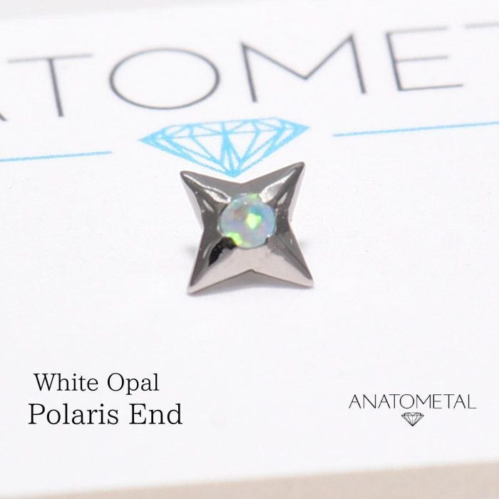 14G ANATOMETAL 限定商品/Limited Itemブリリアントカットポラリス