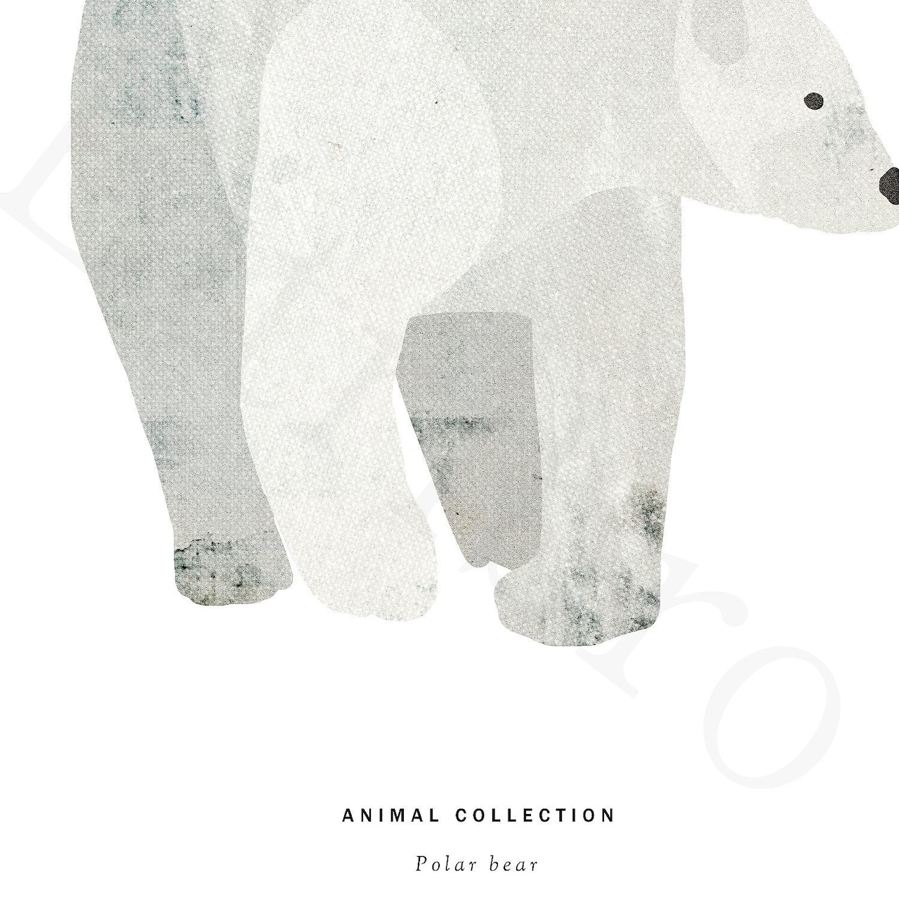 アートポスター / Polar Bear  eb146
