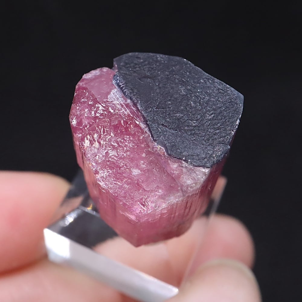 バイカラートルマリン 結晶 電気石 10.9g T725 鉱物　天然石　原石 バイカラートルマリン 結晶 電気石 10.9g T725 鉱物 天然石 原石