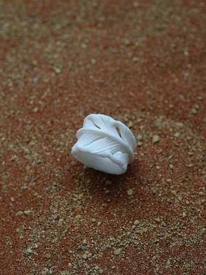 ring  (#12G) _ 002