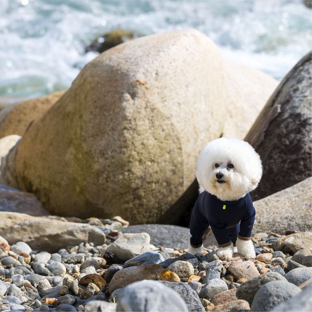 ALPHAICON [アルファアイコン] HOT DOG GUARD [25HDG] ホットドッグ