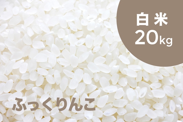 令和5年産 特別栽培米 ふっくりんこ（白米）20kg