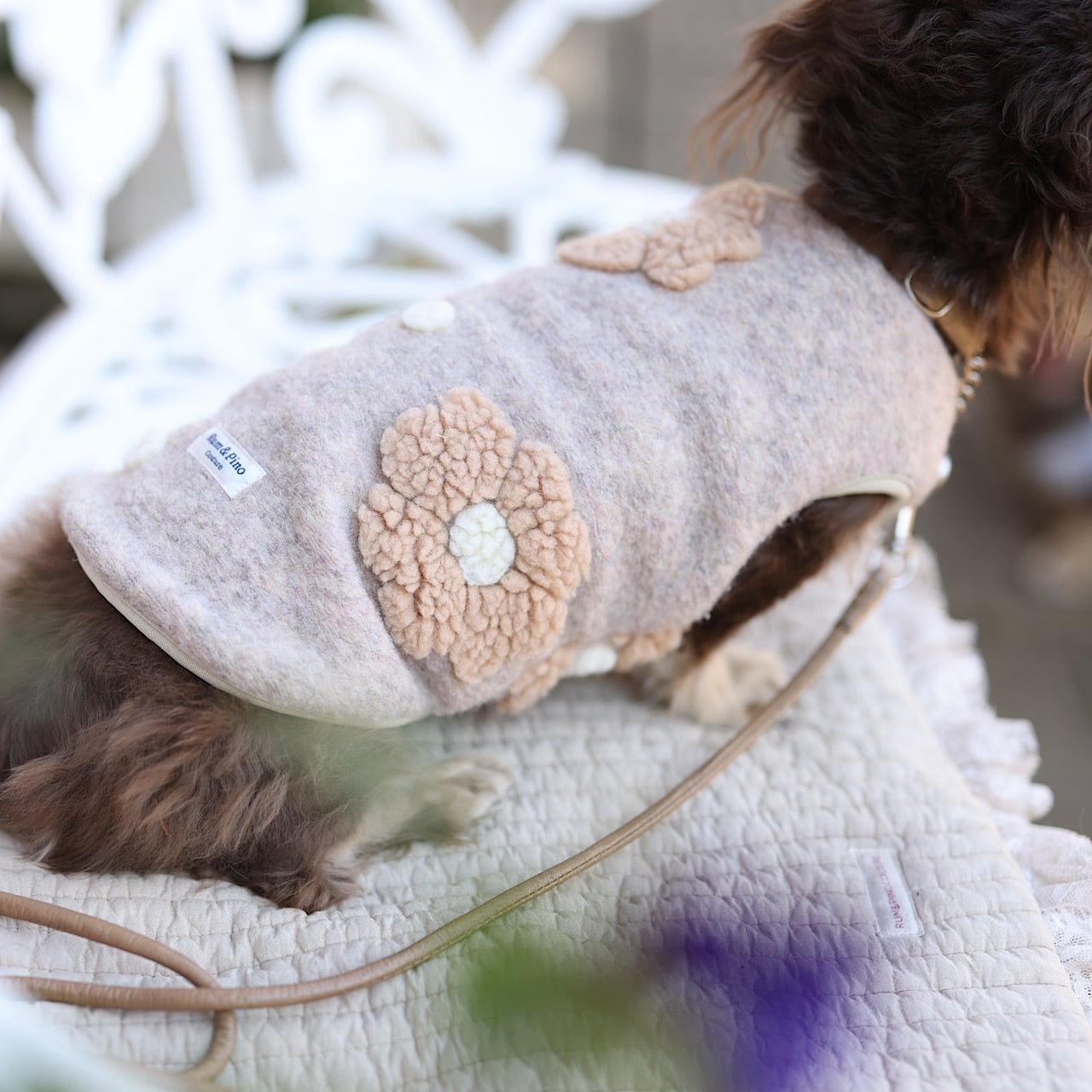 ベアウォーム ボアベスト | カニンヘンダックスとミニチュアダックス