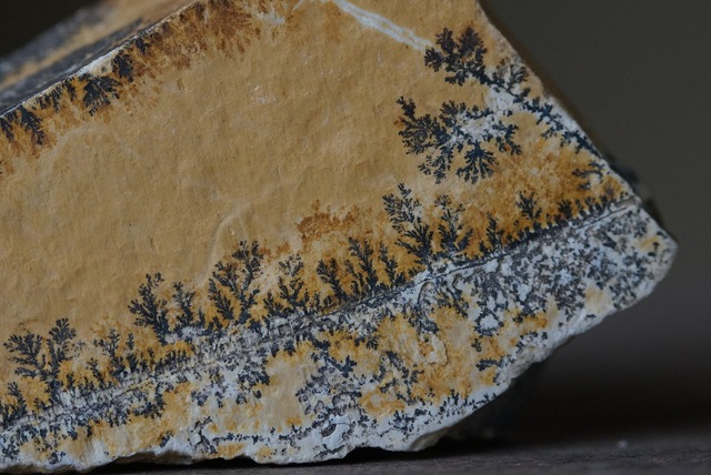 デンドライト 忍石 Dendritic limestone  17