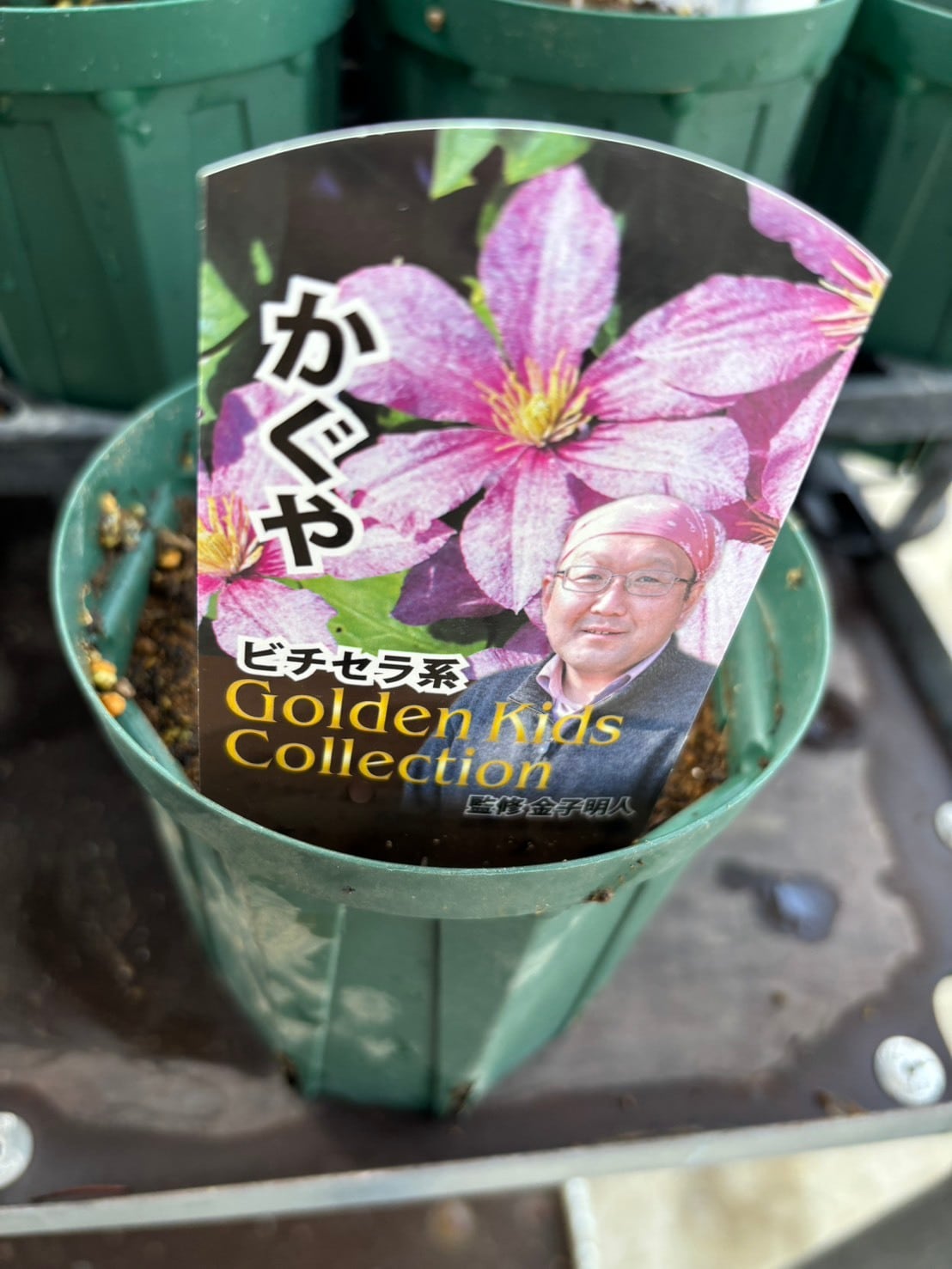 花 PW×CAINZ】笑顔あふれ咲くプレゼントキャンペーン | PROVEN WINNERS