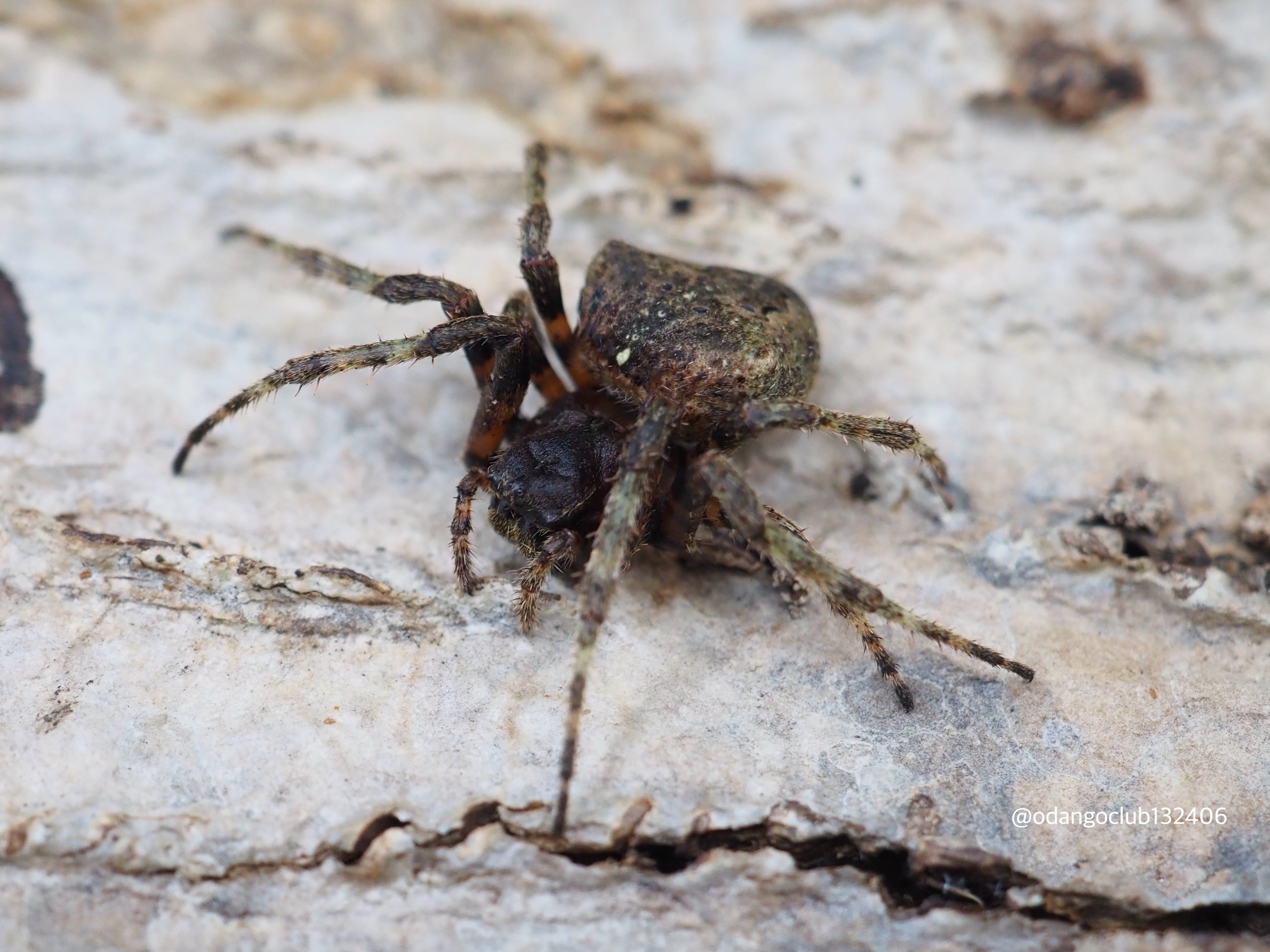 410345d328a1538b648fb1c66ceff4