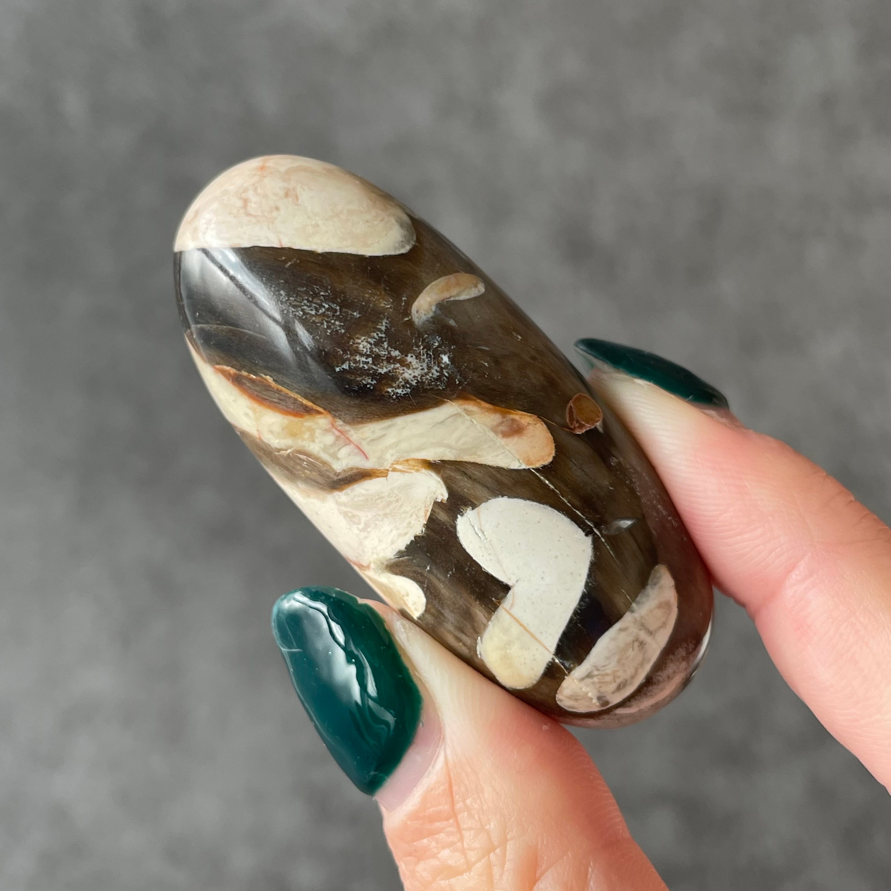 Peanut Wood Jasper ピーナッツウッドジャスパー|Shiva シバ|天然石 パワーストーン 鉱物 gem stone