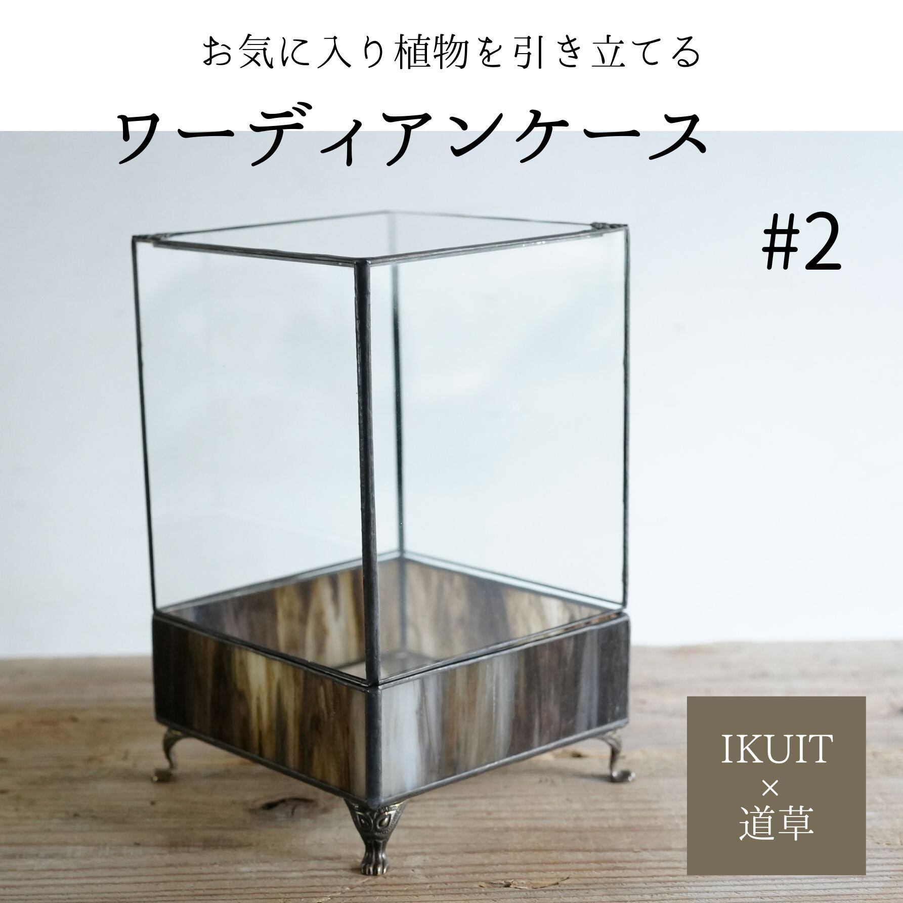 ガラス容器 | 苔テラリウム専門ショップ道草