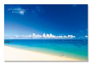 奄美ポストカード「まぶしい浜辺」
