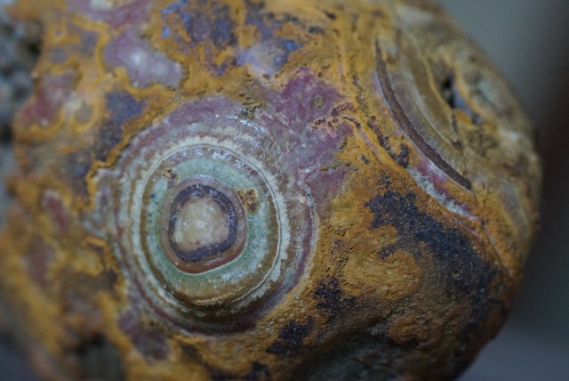 ゴビアゲート Gobi Desert Eye Agate 653