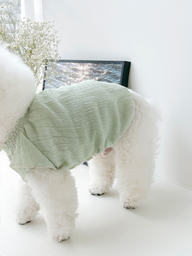 〈即納アイテム〉 EYOU  ピュアロマンティックワンピース（ミント)