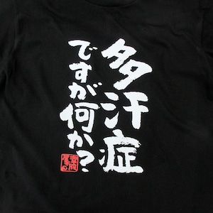 多汗症ですが何か? おもしろtシャツ 漢字 ka300-33 文字 メッセージTシャツ