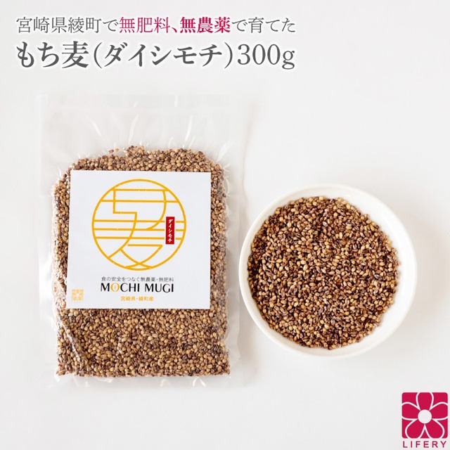もち麦 レジスタントスターチ ダイシモチ 宮崎県産 300g βグルカン 食物繊維 雑穀