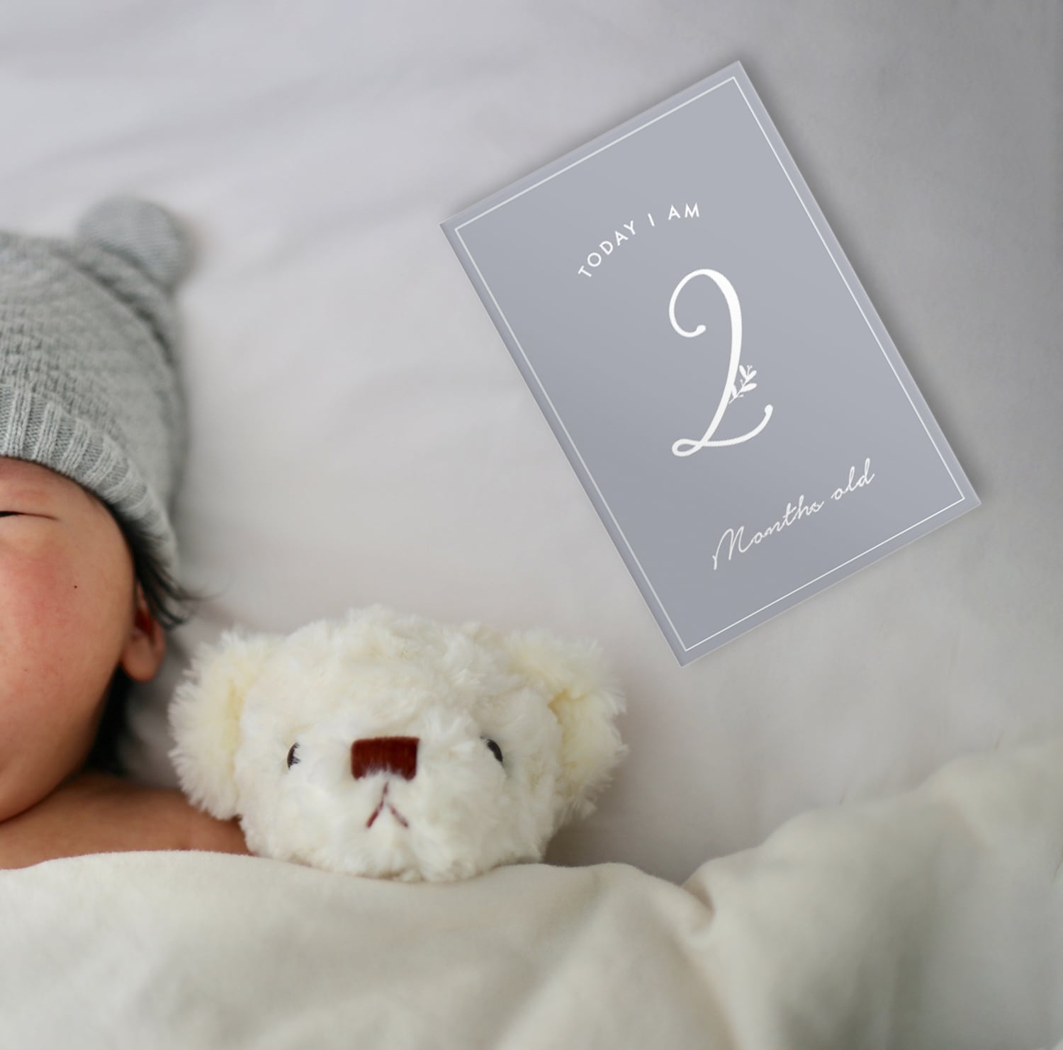 パネル生地　ラモちゃん パネル生地 ラモちゃん様専用 【公式通販】