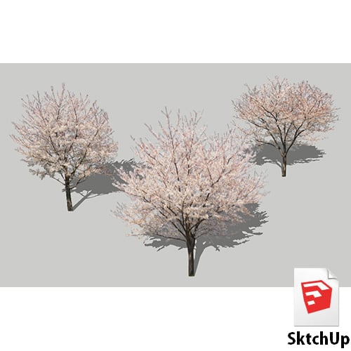 樹木SketchUp 4t_009 - 画像1