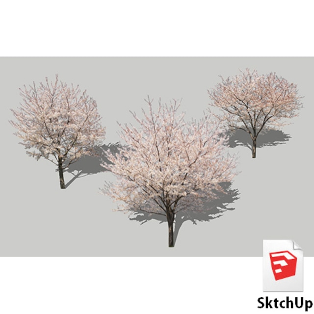 樹木SketchUp 4t_009 - メイン画像