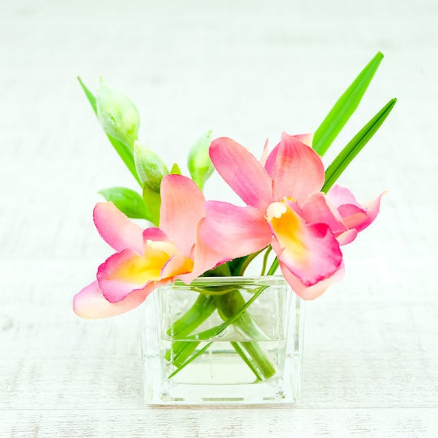 アートフラワーギフト!『みずみずしい!マジカルウォーター ミニシリーズ』ピンクシンビジウム