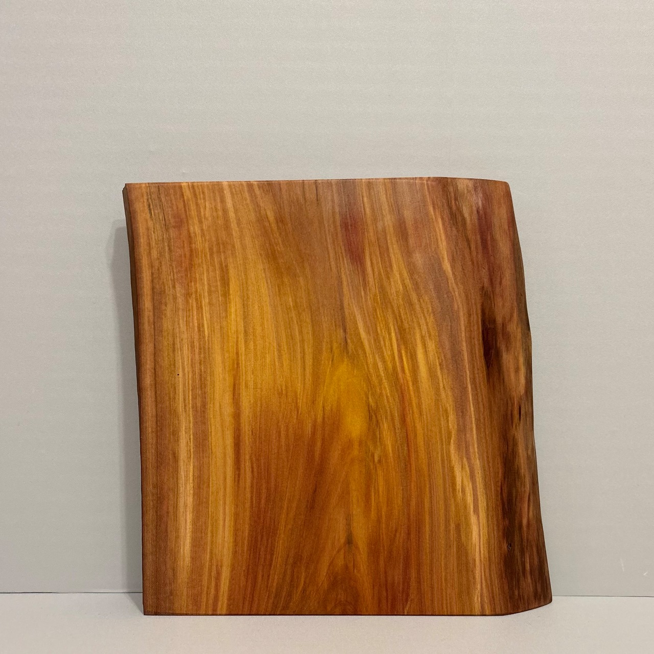 木の結婚証明書|ヤマモモ|No.682