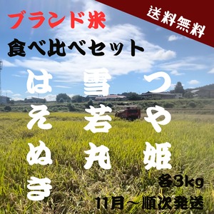 23歳若手農家直送  お米3品種　食べ比べセット（つや姫・雪若丸・はえぬき 各3kg) 送料無料