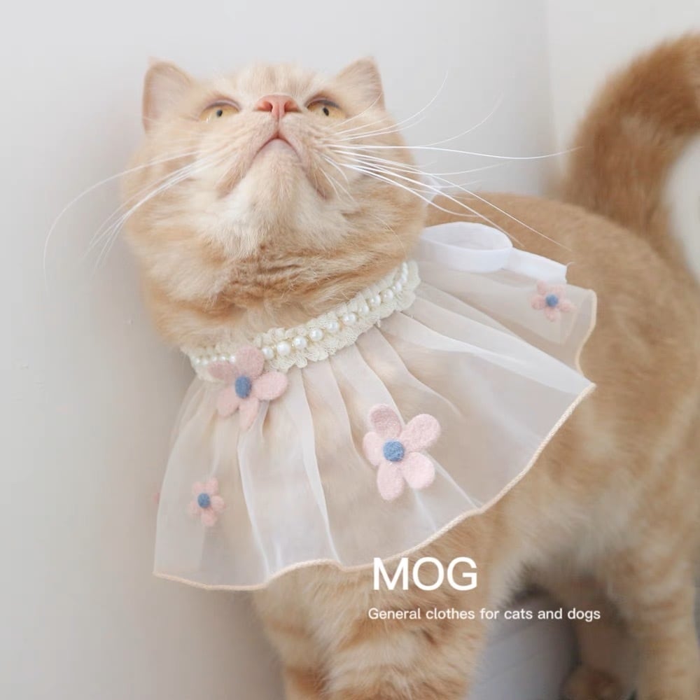 Pearlフリルレースエプロン スター&フラワー 猫 すたい