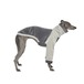 BONDIR Grays Corduroy Sweater for Regular bleed L-2XL