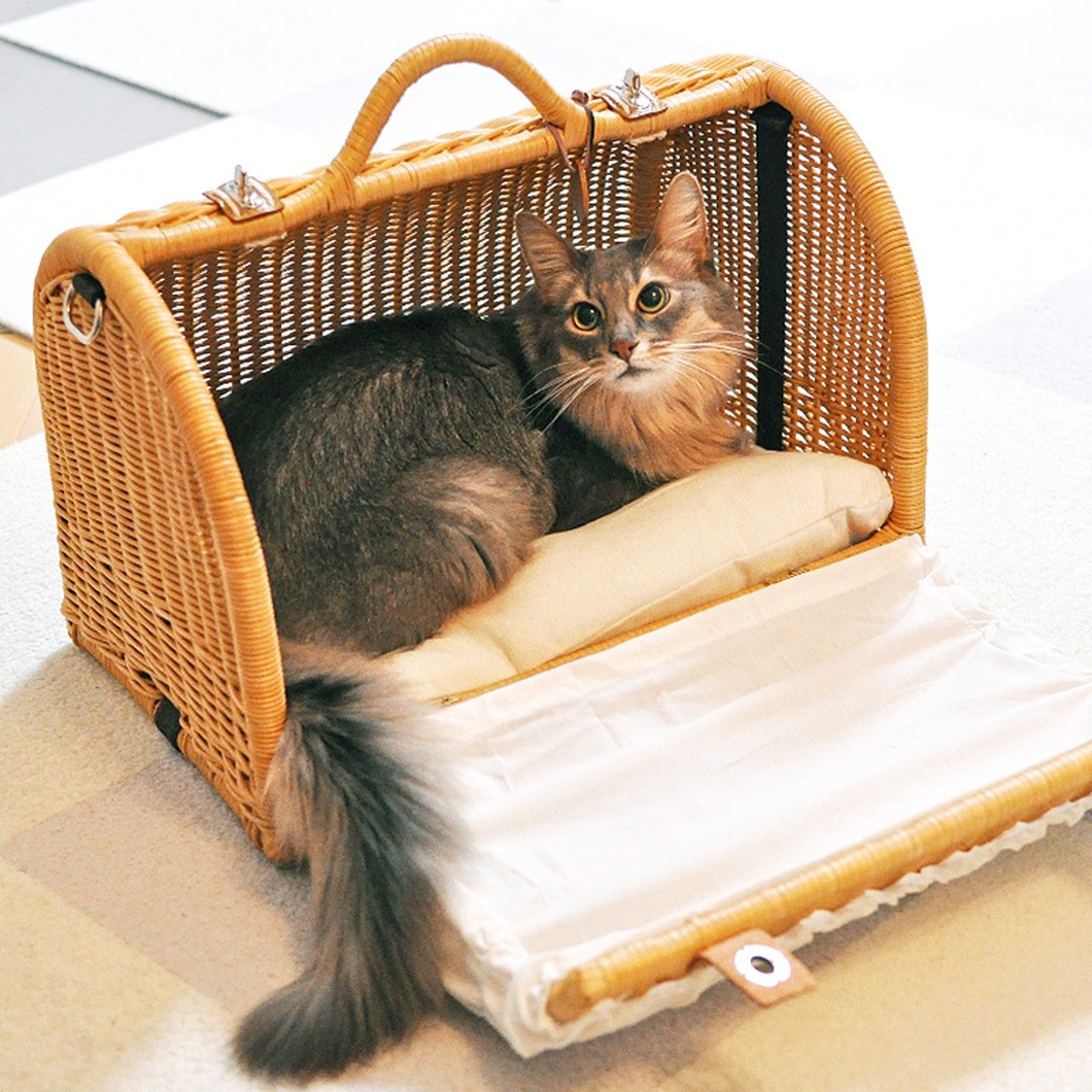 【シンシアコラボ福袋】ラタンキャリーマイン（３色から選べる！）,合計35,000円以上相当の猫グッズ！人気おやつ,グッズ,ウェットフード