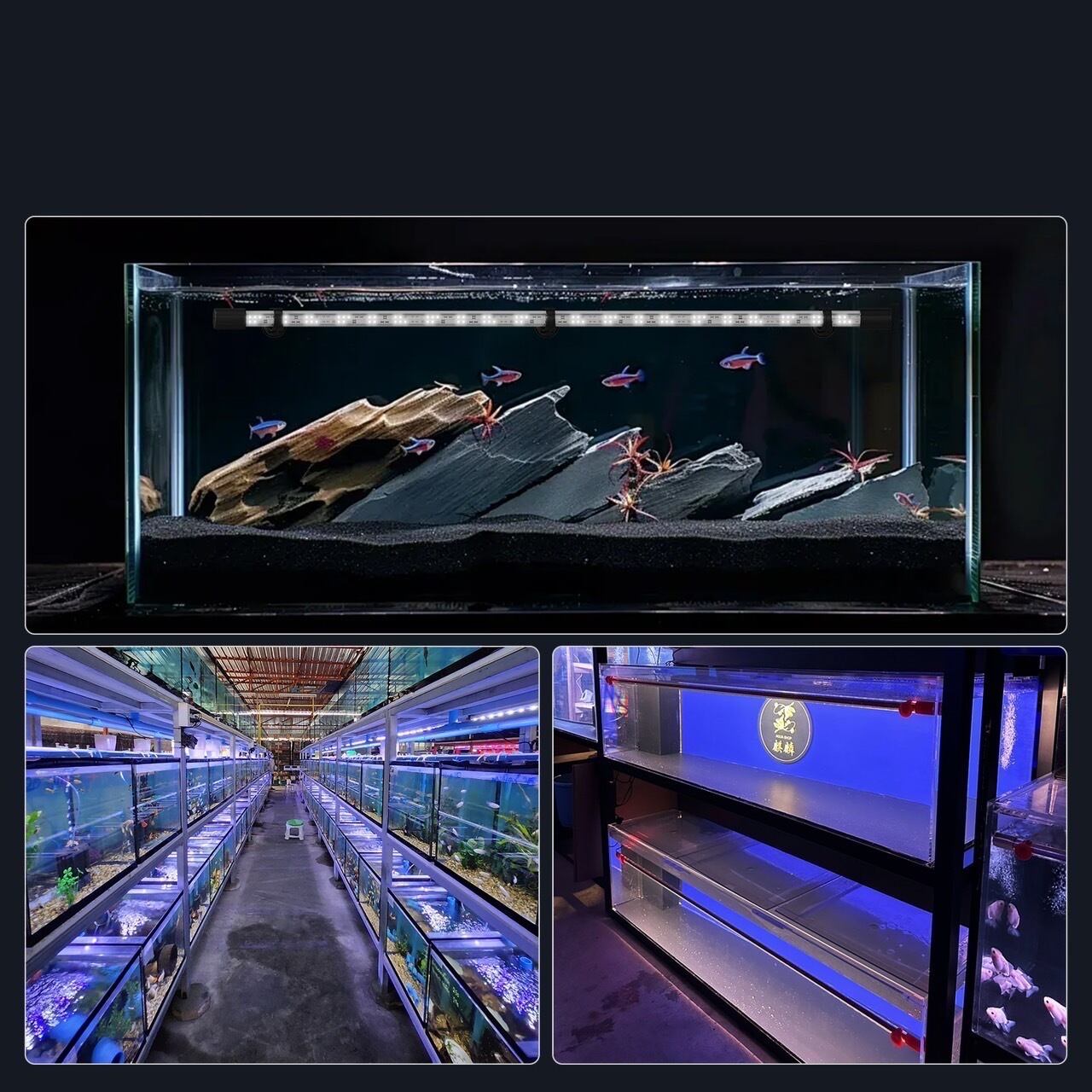 アクアサンライト 900用 価格は送料込み PSE取得済 | アクアショップ