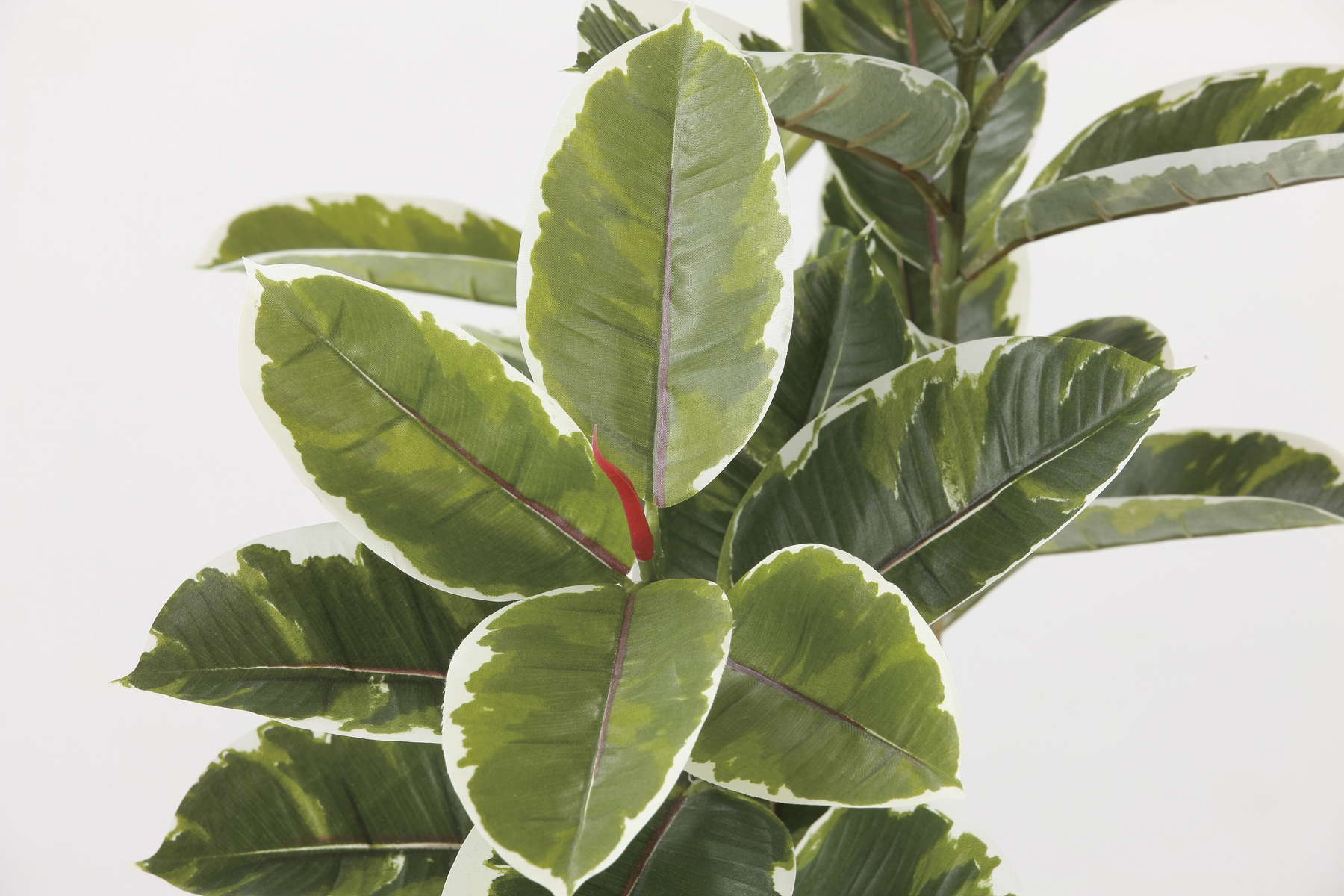 ショクバイラウンドアルテシマ１．６Ｍ　グリーン系　GLPA-041　4961823431050　造花（アーティフィシャルフラワー） > 観葉植物