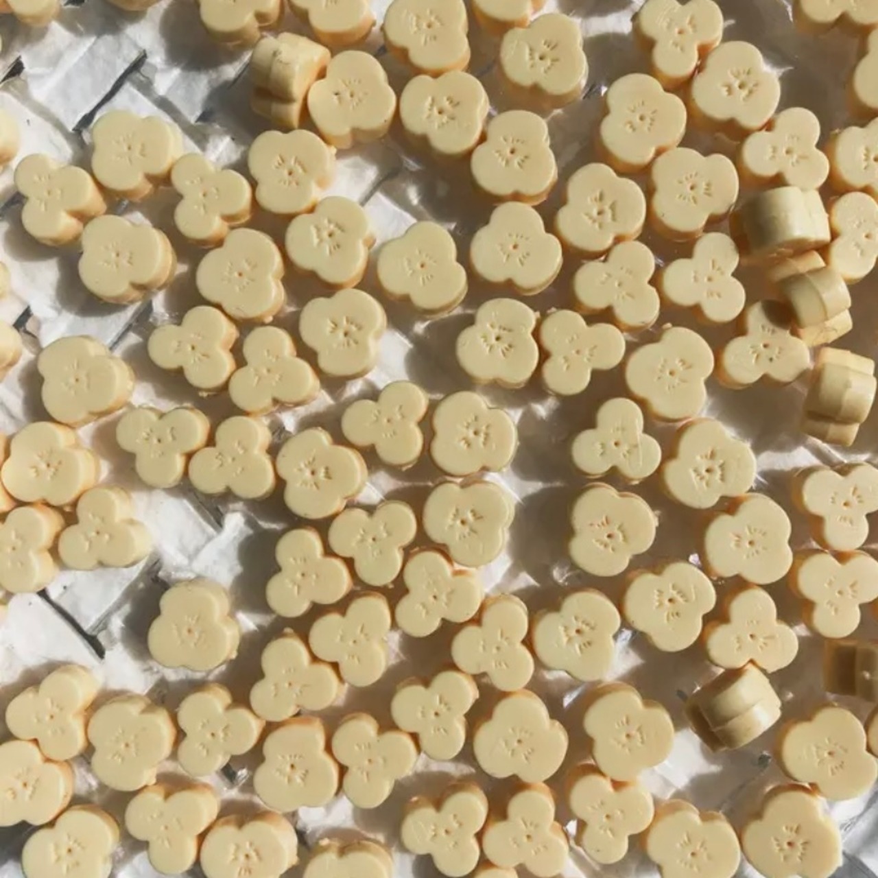 シーリングワックス plum blossom / cheese【40g】