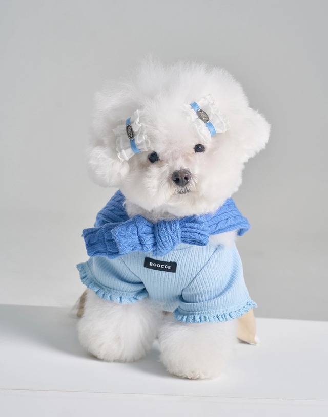 〈 予約アイテム 〉BOOCCE /SOFT LACE TOP（ライトブルー）