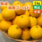 送料無料　熟成・湘南ゴールド（L・Mサイズ）５ｋｇ