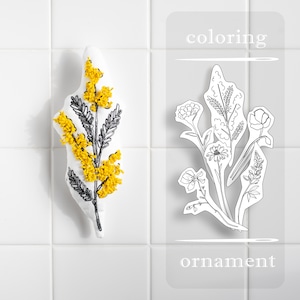 Coloring ornament（Mimosa）