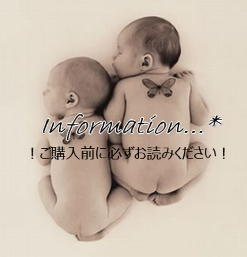 《必読》information