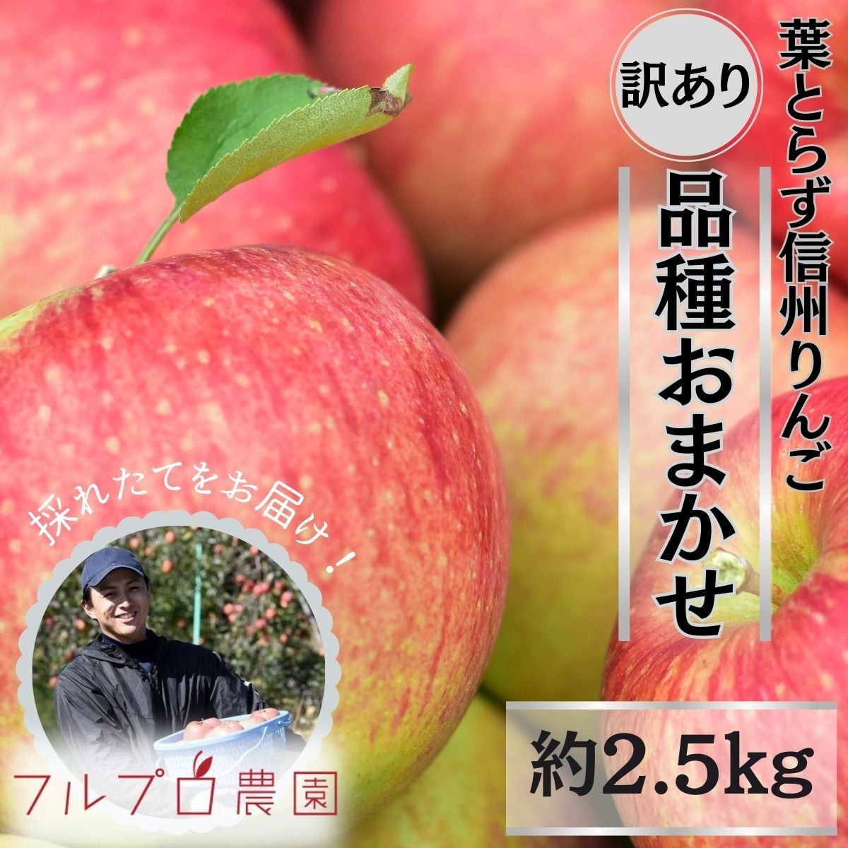 frupronouen　旬のおまかせ】葉とらずりんご(無選別)　訳あり　約2.5kg(7-16玉)1~3種類　#NAX0B025