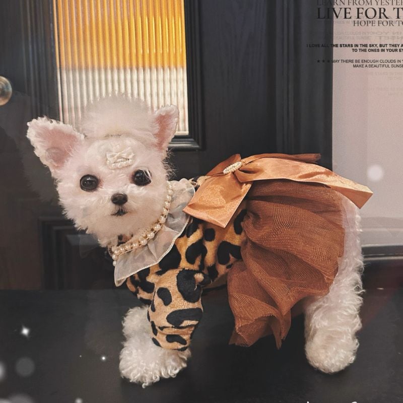 レオパード柄のエレガントなドレス 犬服 00600