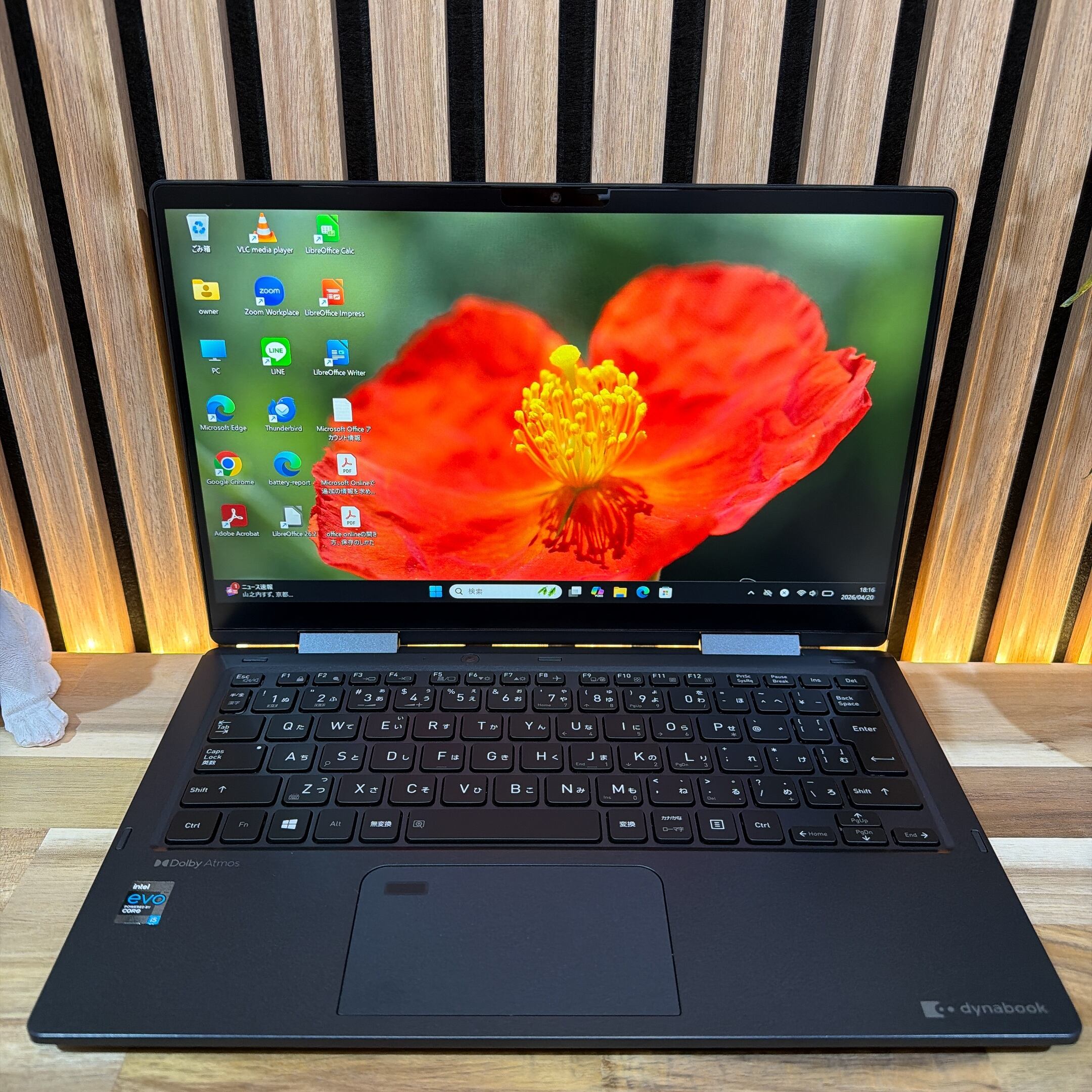公式ショップ限定価格❣️/ 準美品《2in1モデル》新型2021年発売