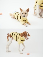 【PUPPYGALLERY公式】ピーターストライプニット【イエロー】