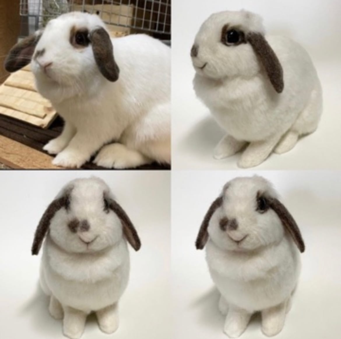 オーダーメイド】【LLサイズ】羊毛フェルト うさぎ ペット うち オーダーメイド】【LLサイズ】羊毛フェルト うさぎ ペット うち