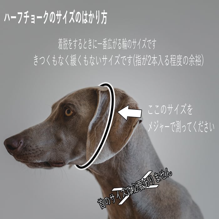 犬の本革ハーフチョークNo.133(大型犬)